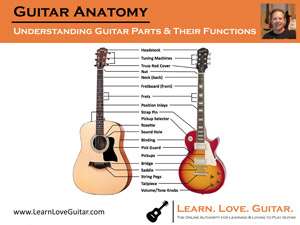 Guitar Anatomy